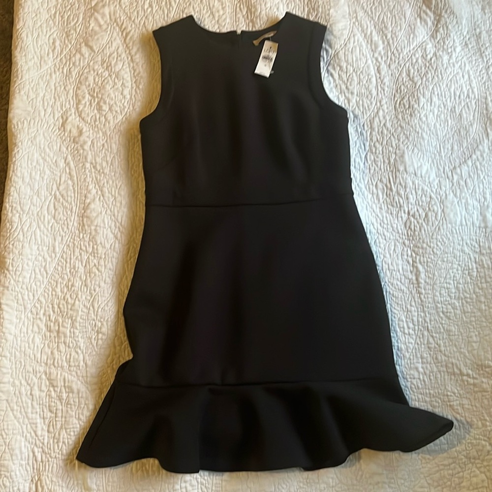 Ann Taylor Loft fabulous dress new with tags